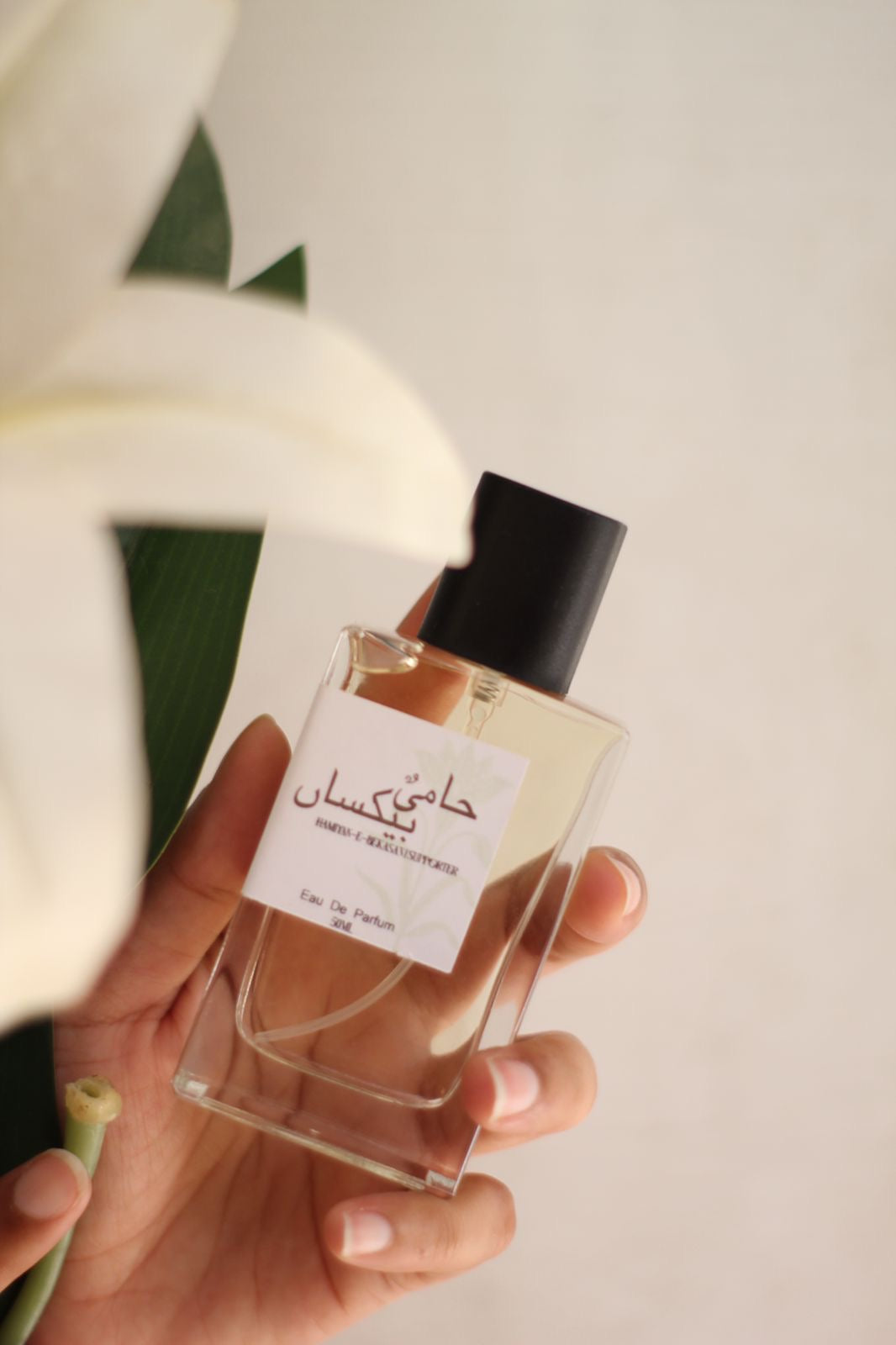 Hamiyan - E - Bekasan
