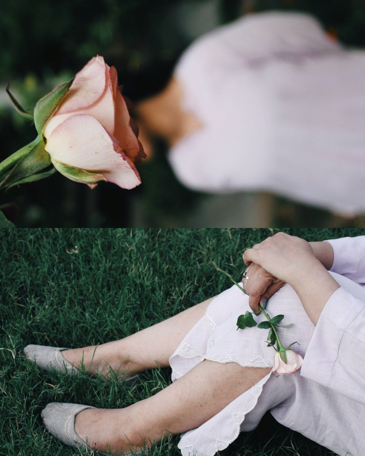 Iris - Sohimo.